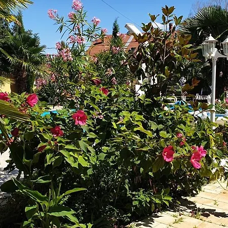 בית נופש Paradise-garden-zamardi *