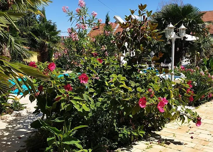 Semesterbostad Paradise-garden-zamardi *